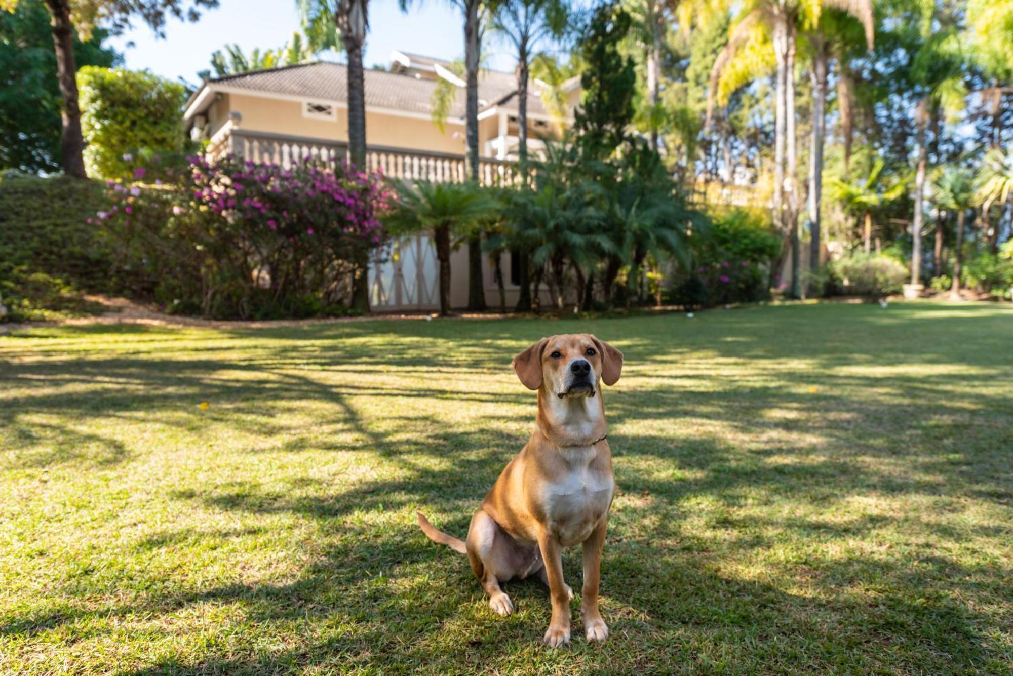 Fazenda Vila Real - Grande E Charmosa Casa De Campo Itu Dış mekan fotoğraf