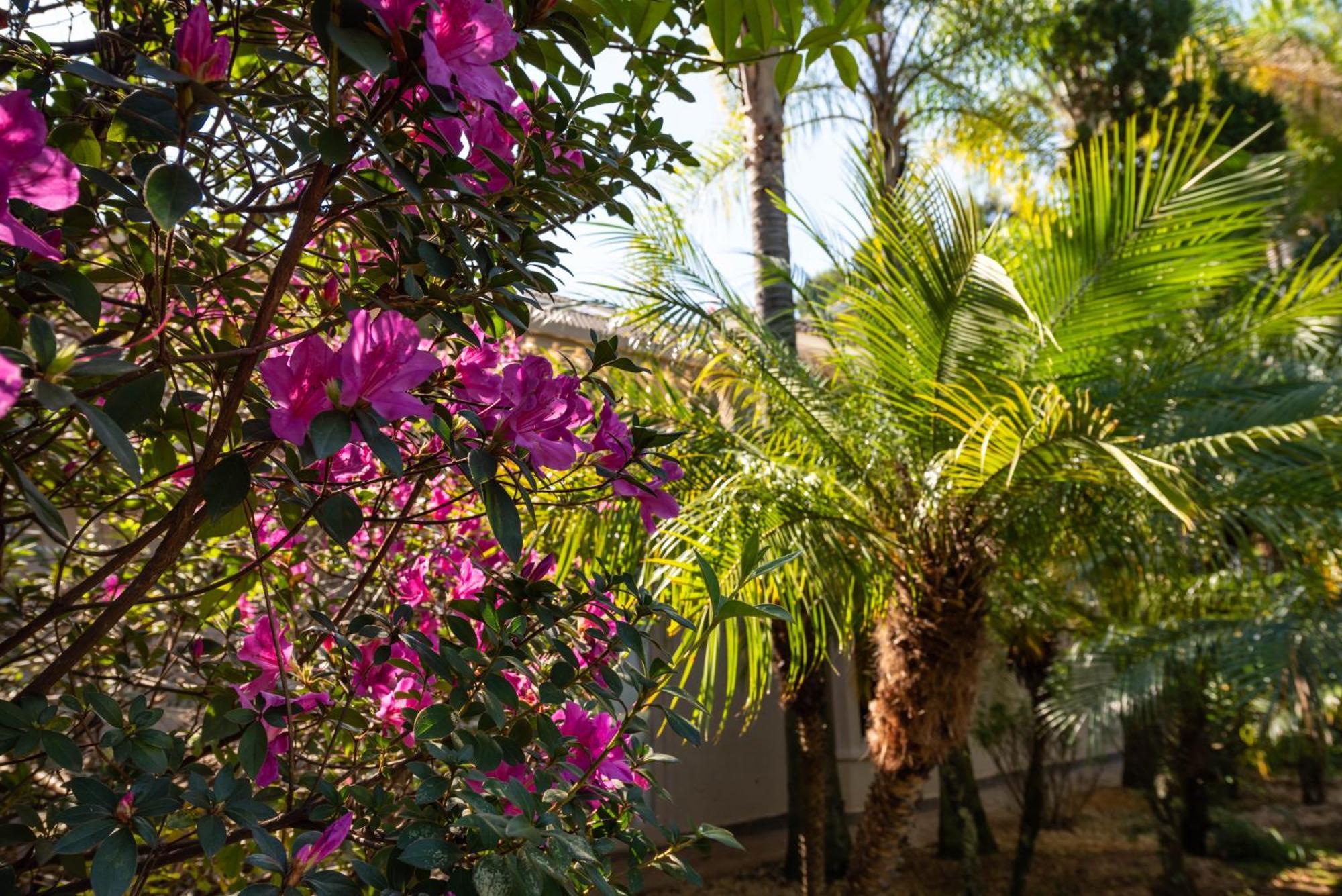 Fazenda Vila Real - Grande E Charmosa Casa De Campo Itu Dış mekan fotoğraf